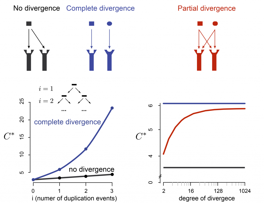 Scientific illustration of cross-wired signaling networks.